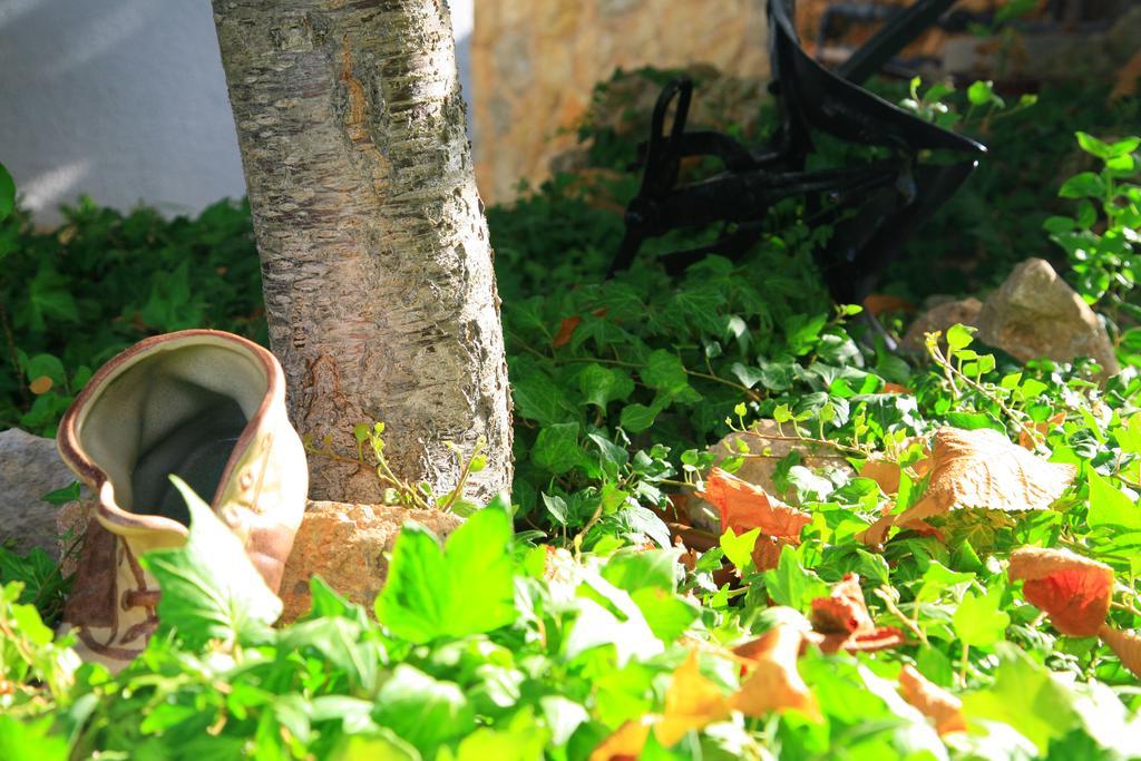 Villa Columbus Family Boutique Hotel Peguera Exterior photo